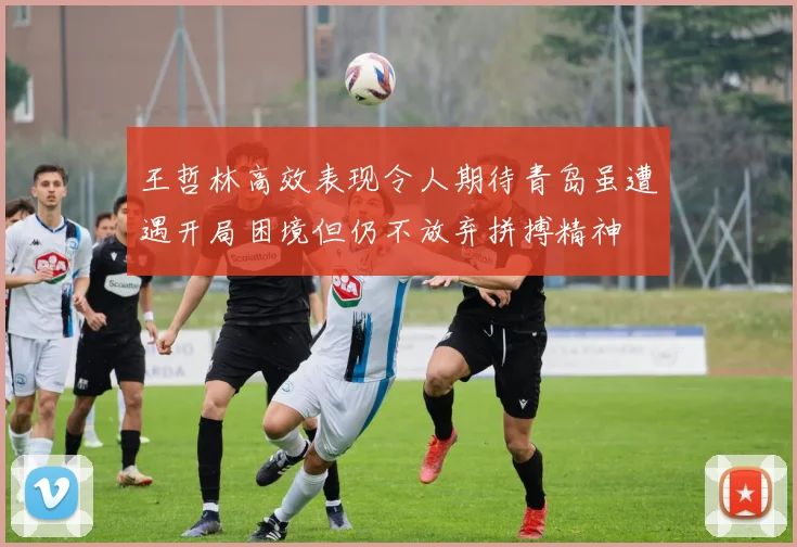 王哲林高效表现令人期待青岛虽遭遇开局困境但仍不放弃拼搏精神