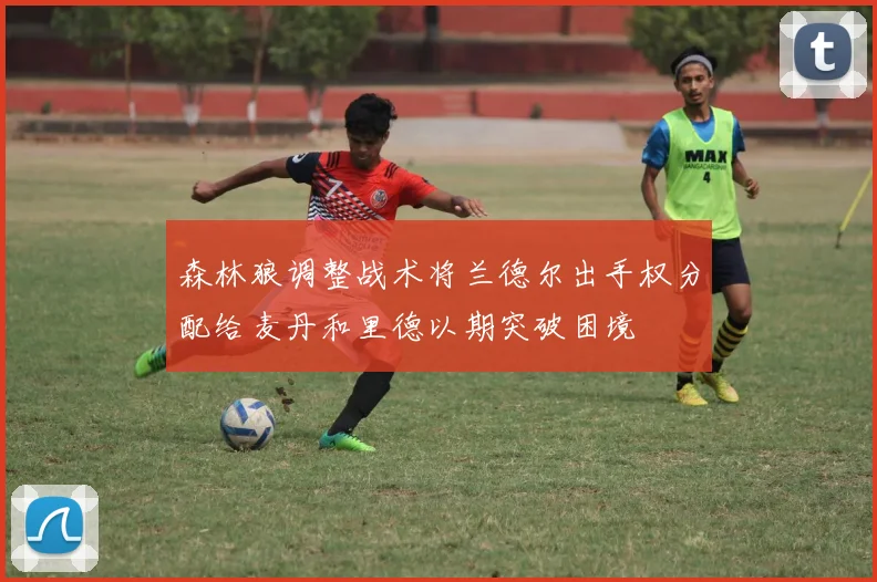 森林狼调整战术将兰德尔出手权分配给麦丹和里德以期突破困境