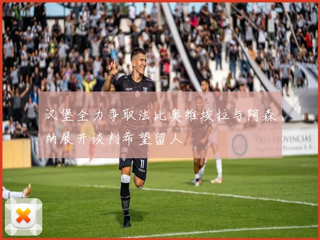 汉堡全力争取法比奥维埃拉与阿森纳展开谈判希望留人