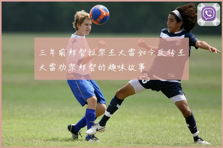 三年前郑智拉架王大雷如今反转王大雷劝架郑智的趣味故事