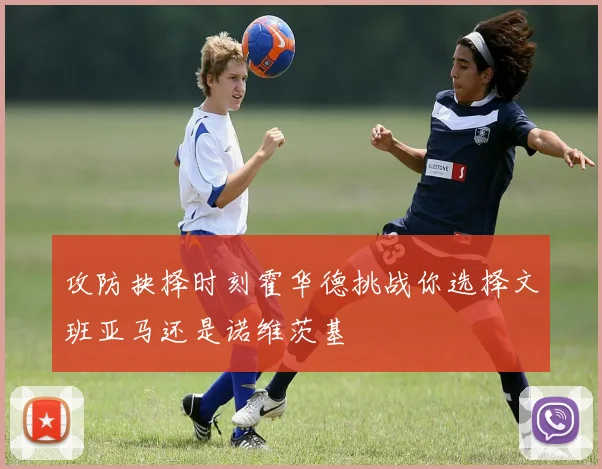 攻防抉择时刻霍华德挑战你选择文班亚马还是诺维茨基
